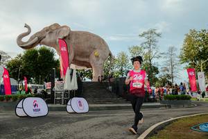 BIB: 
                            <button type="button" onclick="openModal(26529174)" class="btn btn-primary btn-sm float-right btn-popup" data-toggle="modal" data-target=".modal-high-quality">
                        <i class="fas fa-shopping-cart"></i> Add to Cart
                    </button>
                                            <button type="button" onclick="isThisMe(26529174, true)" class="btn btn-success btn-sm float-right btn-popup btn-isme hidden" data-toggle="tooltip" data-placement="bottom" title="นี่คือรูปของคุณใช่ไหม คลิกที่นี่เพื่อเอาเข้าอัลบั้ม">
                        <i class="fas fa-plus"></i> Add to album
                    </button>
                    <button type="button" onclick="isThisMe(26529174, false)" class="btn btn-warning btn-sm float-right btn-popup btn-isnotme hidden">
                        <i class="fas fa-ban"></i> Remove from album
                    </button>